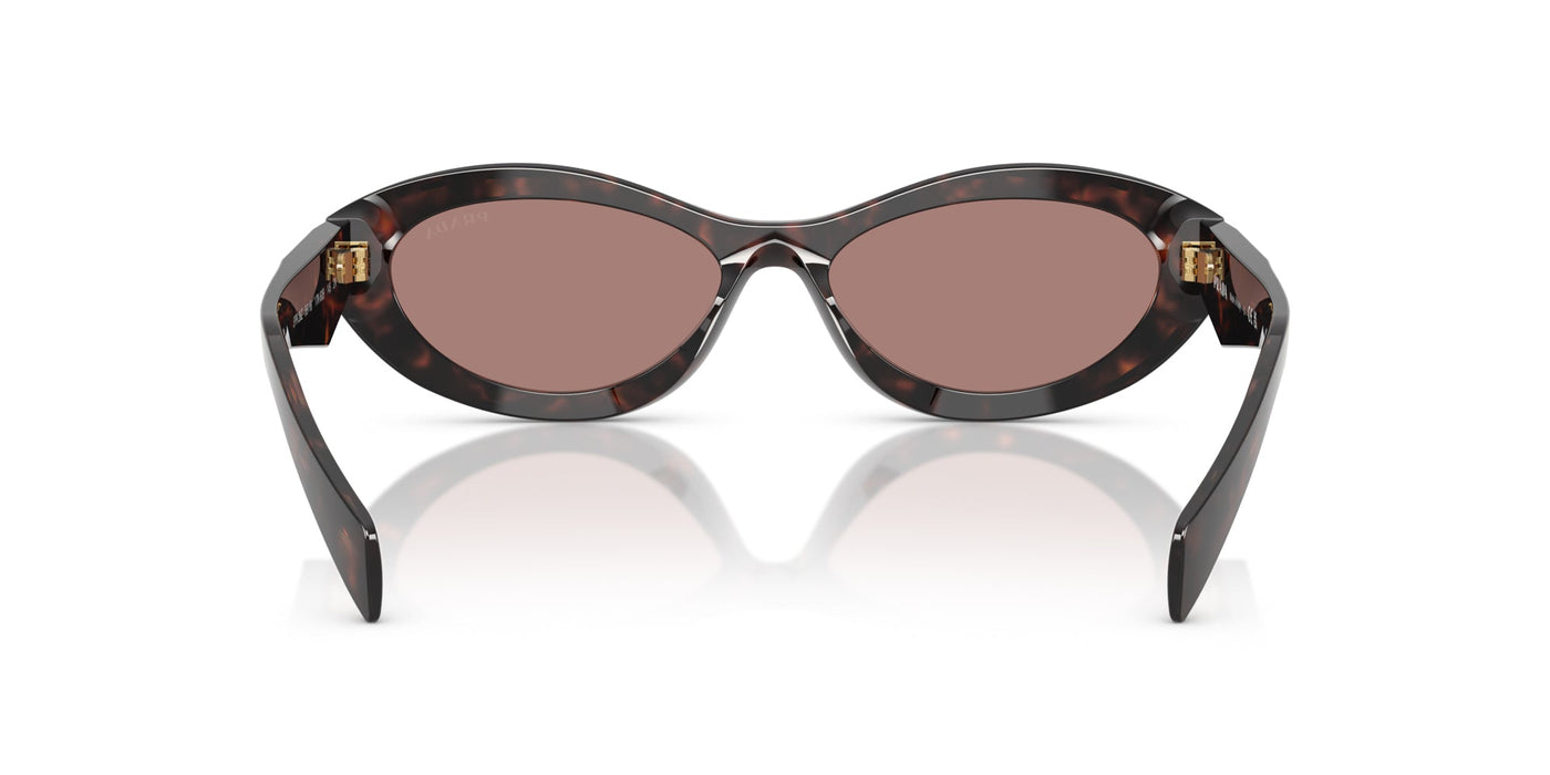 Prada SPR26Z Root Tortoise/Light Brown #colour_root-tortoise-light-brown