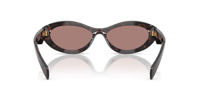 Prada SPR26Z Root Tortoise/Light Brown #colour_root-tortoise-light-brown