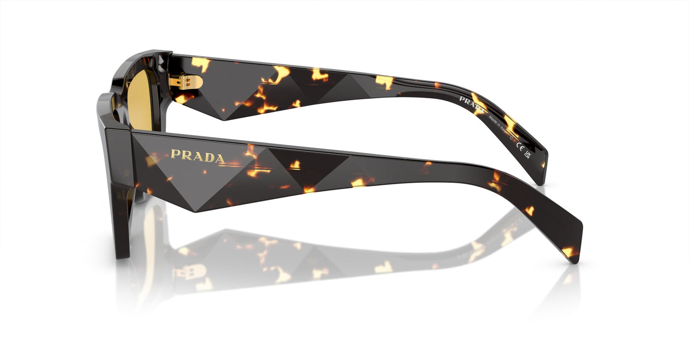 Prada SPR A06 Tortoise Black Malt/Yellow #colour_tortoise-black-malt-yellow