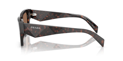 Prada SPR A06 Root Tortoise/Dark Brown #colour_root-tortoise-dark-brown