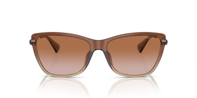 Ralph by Ralph Lauren RA5308U Shiny Transparent Brown/Brown Gradient #colour_shiny-transparent-brown-brown-gradient