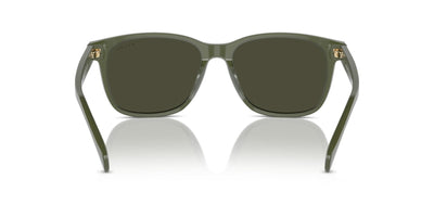 Ralph by Ralph Lauren RA5313U Shiny Opal Green/Dark Green #colour_shiny-opal-green-dark-green