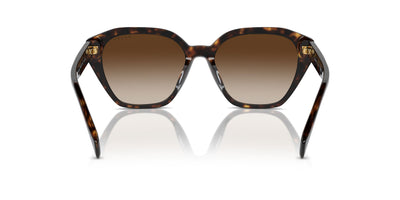 Ralph by Ralph Lauren RA5315U Shiny Dark Havana/Brown Gradient #colour_shiny-dark-havana-brown-gradient