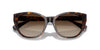 Ralph by Ralph Lauren RA5324U Shiny Dark Havana/Brown Gradient #colour_shiny-dark-havana-brown-gradient