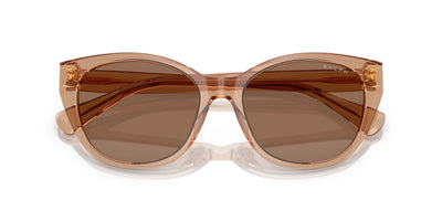 Ralph by Ralph Lauren RA5324U Shiny Transparent Brown/Brown #colour_shiny-transparent-brown-brown