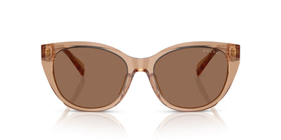 Ralph by Ralph Lauren RA5324U Shiny Transparent Brown/Brown #colour_shiny-transparent-brown-brown