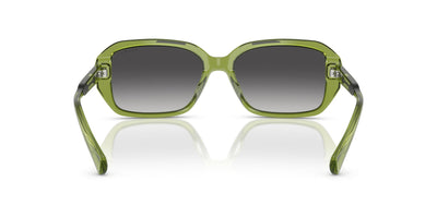 Ralph by Ralph Lauren RA5325U Shiny Transparent Green/Grey Gradient #colour_shiny-transparent-green-grey-gradient