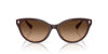 Ralph by Ralph Lauren RA5326U Solid Brown Milky Brown/Brown Gradient #colour_solid-brown-milky-brown-brown-gradient