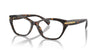 Ralph by Ralph Lauren RA7161U Shiny Dark Havana #colour_shiny-dark-havana