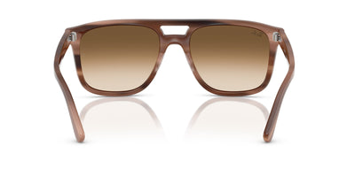 Ray-Ban RB2213 Havana Brown/Clear Brown Gradient #colour_havana-brown-clear-brown-gradient