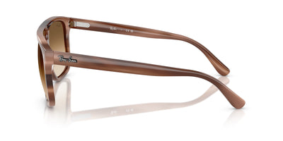 Ray-Ban RB2213 Havana Brown/Clear Brown Gradient #colour_havana-brown-clear-brown-gradient