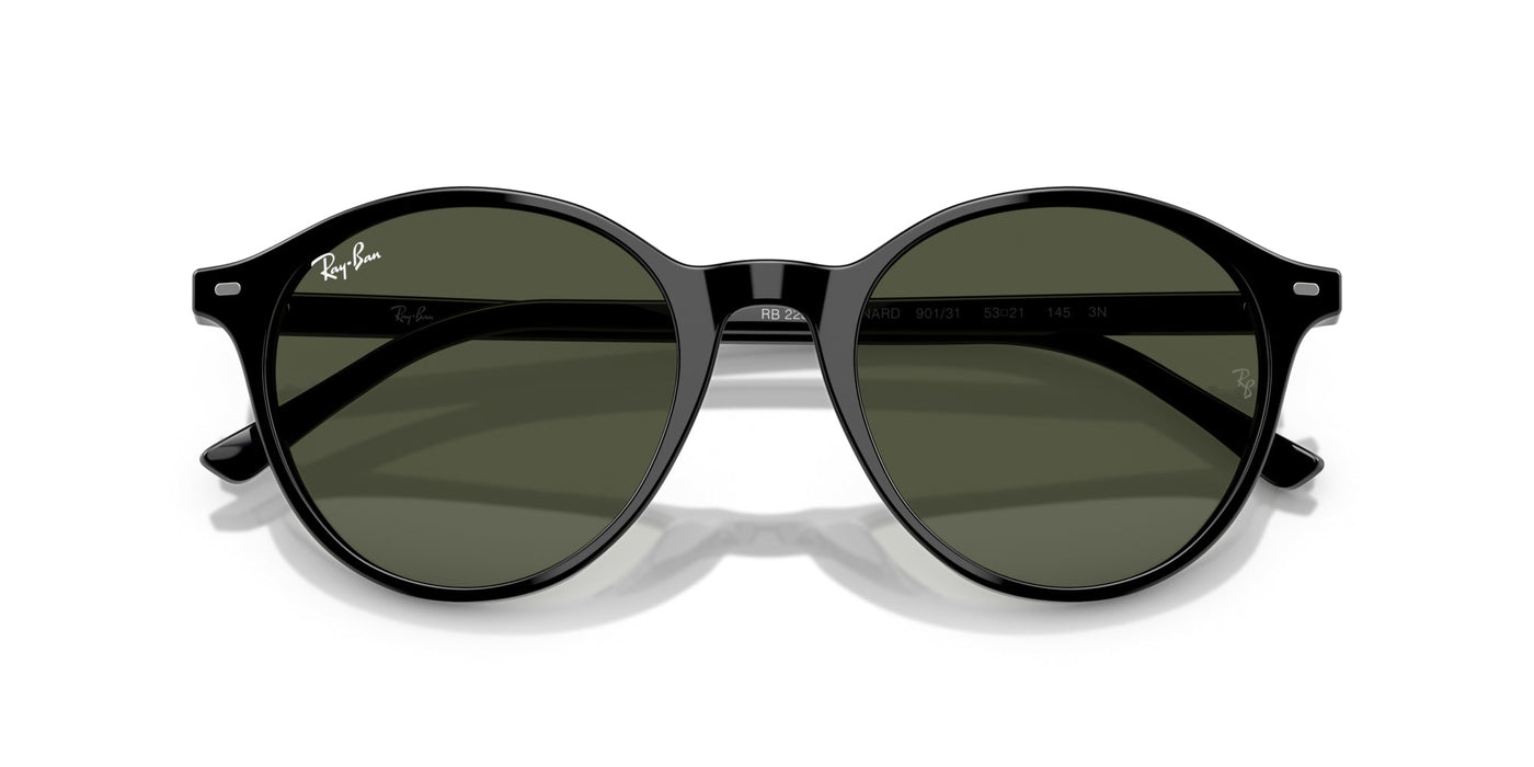 Ray-Ban Bernard RB2230 Black/G-15 Green #colour_black-g-15-green