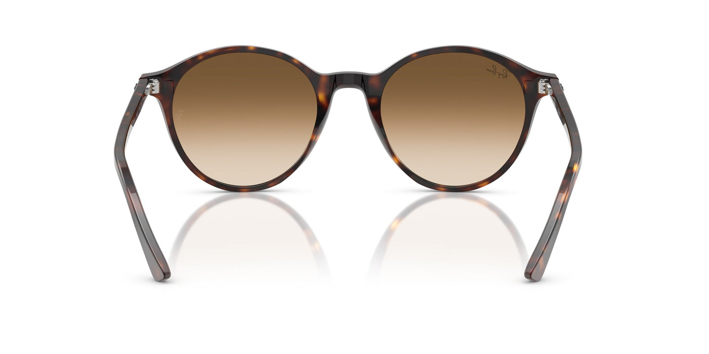 Ray-Ban Bernard RB2230 Havana/Clear Brown Gradient #colour_havana-clear-brown-gradient