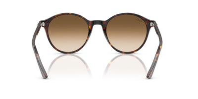 Ray-Ban Bernard RB2230 Havana/Clear Brown Gradient #colour_havana-clear-brown-gradient