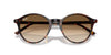 Ray-Ban Bernard RB2230 Havana/Clear Brown Gradient #colour_havana-clear-brown-gradient