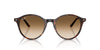 Ray-Ban Bernard RB2230 Havana/Clear Brown Gradient #colour_havana-clear-brown-gradient