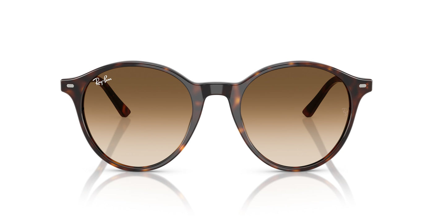 Ray-Ban Bernard RB2230 Havana/Clear Brown Gradient #colour_havana-clear-brown-gradient