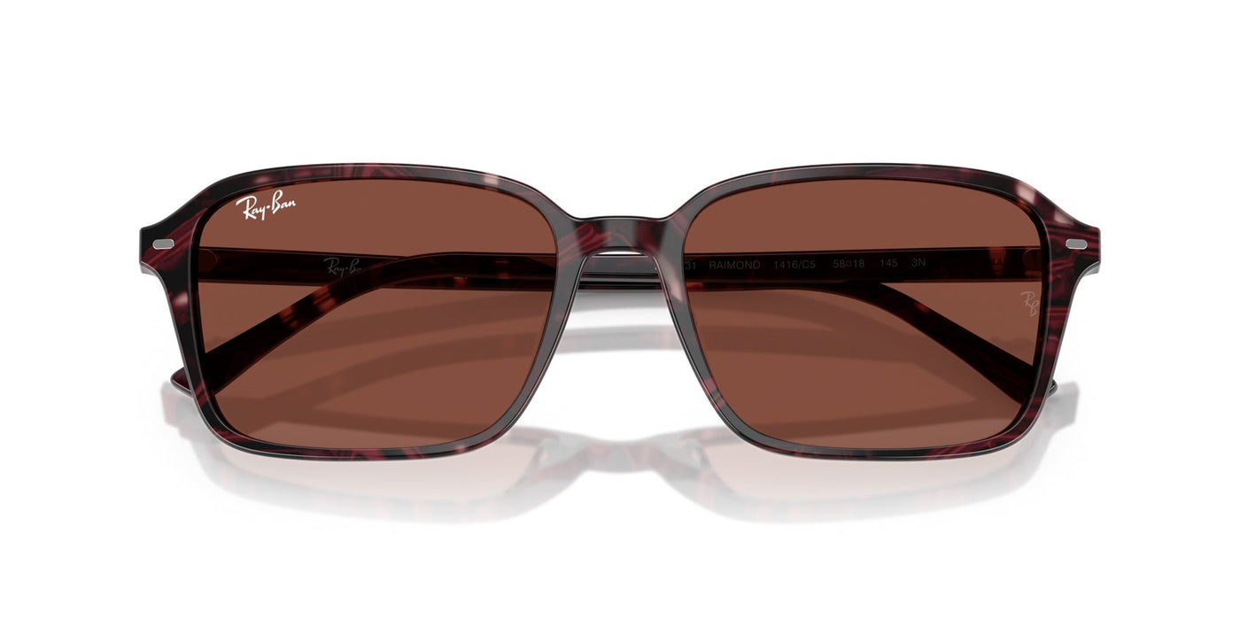 Ray-Ban Raimond RB2231 Transparent Fantasy Violet/Red/Red #colour_transparent-fantasy-violet-red-red