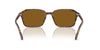 Ray-Ban Raimond RB2231 Transparent Fantasy Brown/B-15 Brown #colour_transparent-fantasy-brown-b-15-brown