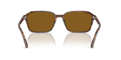 Ray-Ban Raimond RB2231 Transparent Fantasy Brown/B-15 Brown #colour_transparent-fantasy-brown-b-15-brown