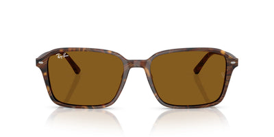 Ray-Ban Raimond RB2231 Transparent Fantasy Brown/B-15 Brown #colour_transparent-fantasy-brown-b-15-brown