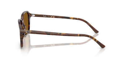 Ray-Ban Raimond RB2231 Transparent Fantasy Brown/B-15 Brown #colour_transparent-fantasy-brown-b-15-brown