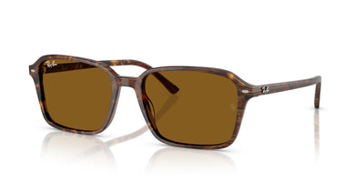 Ray-Ban Raimond RB2231 Transparent Fantasy Brown/B-15 Brown #colour_transparent-fantasy-brown-b-15-brown