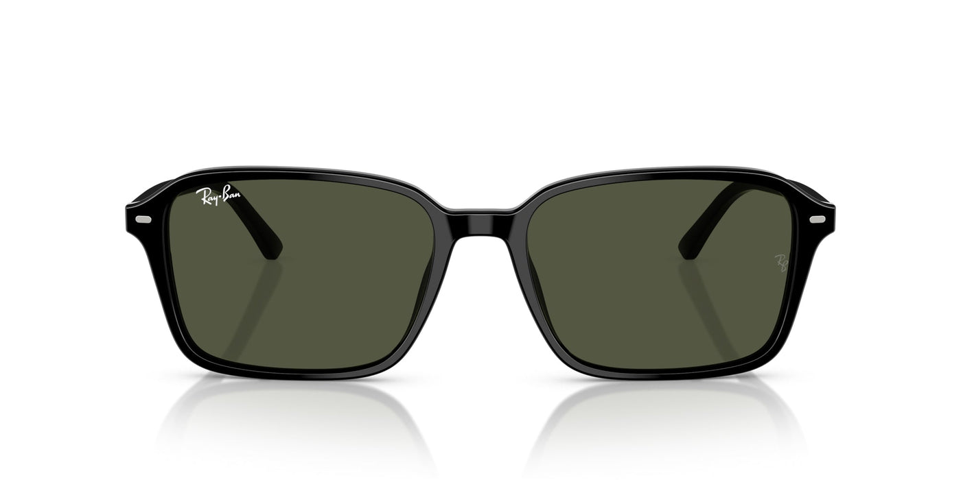 Ray-Ban Raimond RB2231 Black/G-15 Green #colour_black-g-15-green