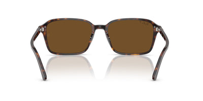 Ray-Ban Raimond RB2231 Havana/B-15 Brown #colour_havana-b-15-brown