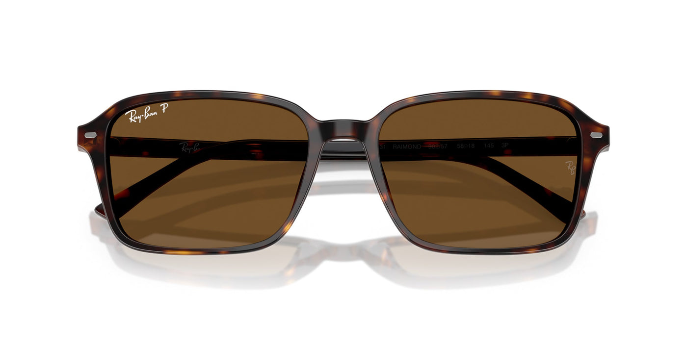 Ray-Ban Raimond RB2231 Havana/B-15 Brown #colour_havana-b-15-brown