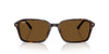 Ray-Ban Raimond RB2231 Havana/B-15 Brown #colour_havana-b-15-brown