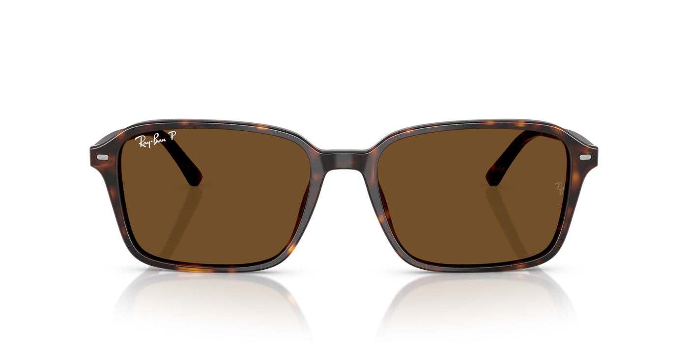 Ray-Ban Raimond RB2231 Havana/B-15 Brown #colour_havana-b-15-brown