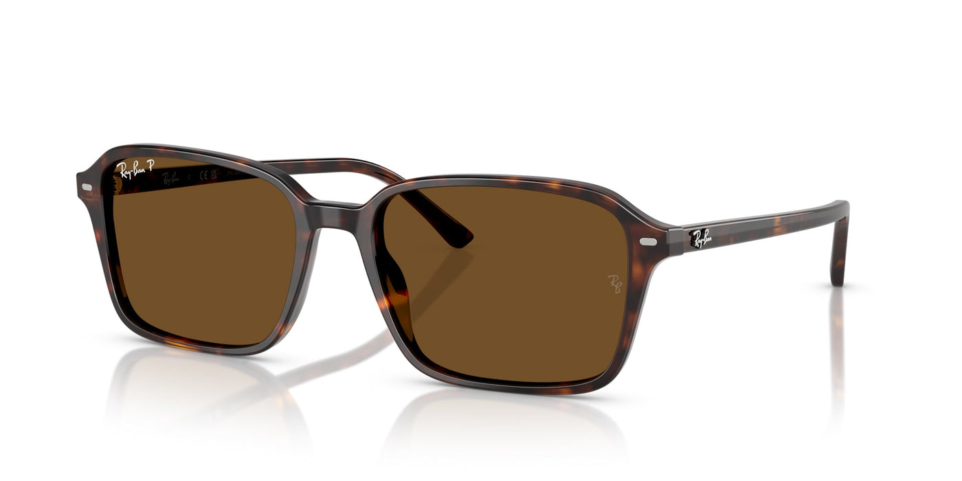 Ray-Ban Raimond RB2231 Havana/B-15 Brown #colour_havana-b-15-brown