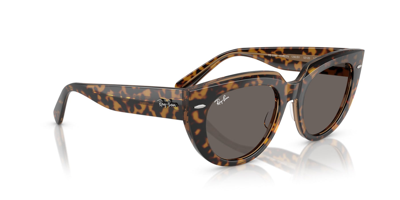 Ray-Ban Doreen RB2286 Havana On Transparent Brown/Dark Grey #colour_havana-on-transparent-brown-dark-grey