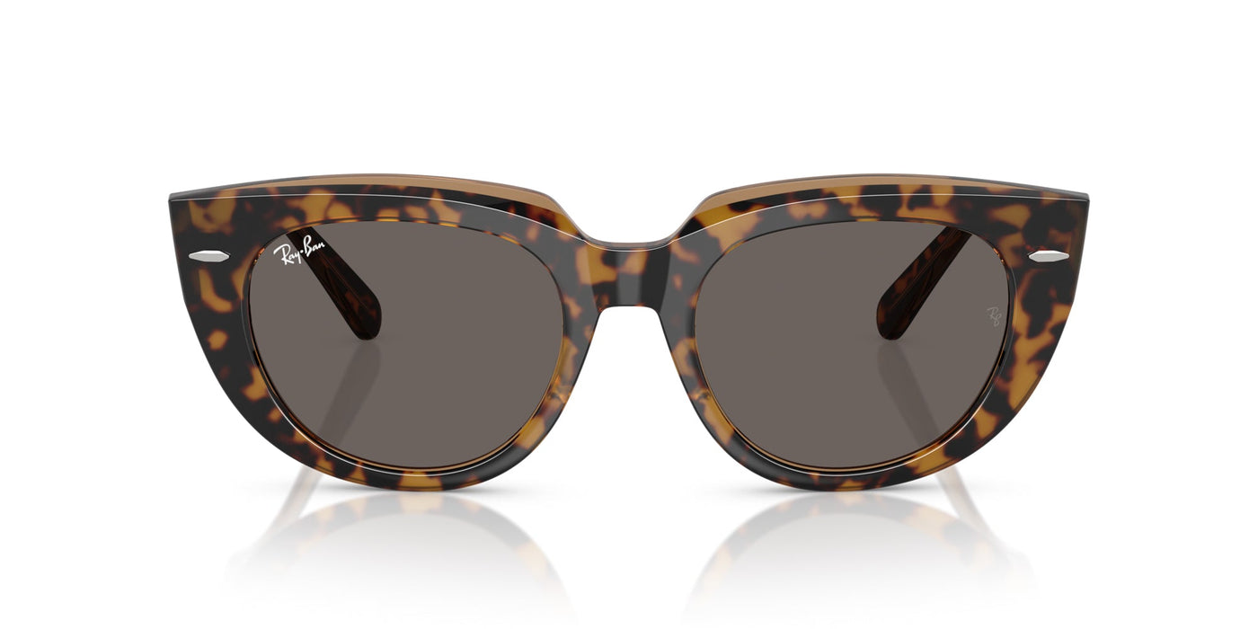 Ray-Ban Doreen RB2286 Havana On Transparent Brown/Dark Grey #colour_havana-on-transparent-brown-dark-grey