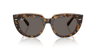 Ray-Ban Doreen RB2286 Havana On Transparent Brown/Dark Grey #colour_havana-on-transparent-brown-dark-grey