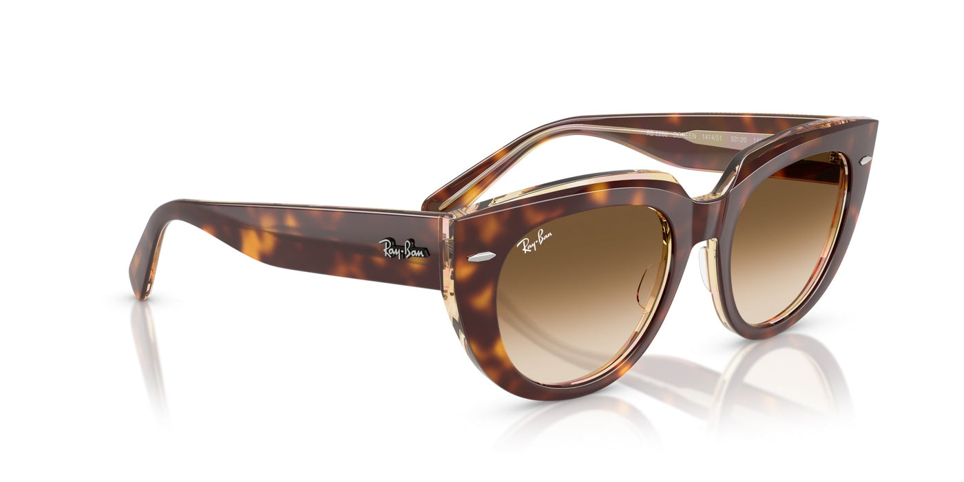 Ray-Ban Doreen RB2286 Light Havana On Transparent Multicolour/Clear Brown Gradient #colour_light-havana-on-transparent-multicolour-clear-brown-gradient