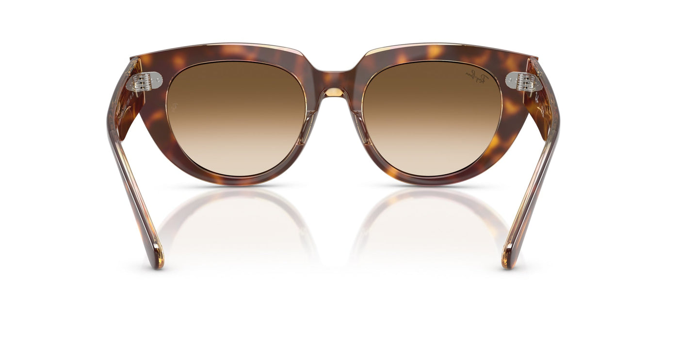 Ray-Ban Doreen RB2286 Light Havana On Transparent Multicolour/Clear Brown Gradient #colour_light-havana-on-transparent-multicolour-clear-brown-gradient