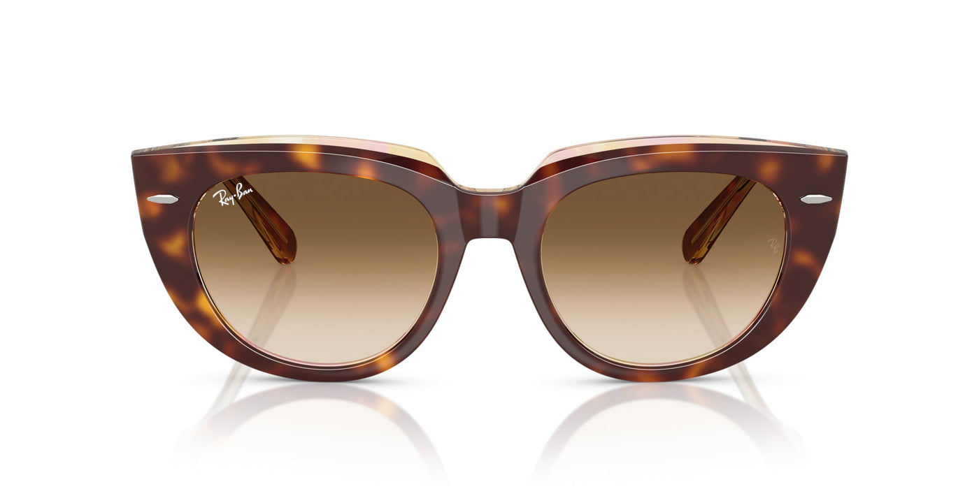 Ray-Ban Doreen RB2286 Light Havana On Transparent Multicolour/Clear Brown Gradient #colour_light-havana-on-transparent-multicolour-clear-brown-gradient