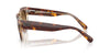 Ray-Ban Doreen RB2286 Light Havana On Transparent Multicolour/Clear Brown Gradient #colour_light-havana-on-transparent-multicolour-clear-brown-gradient