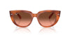 Ray-Ban Doreen RB2286 Red Havana On Transparent Multicolour/Pink Brown Gradient #colour_red-havana-on-transparent-multicolour-pink-brown-gradient