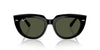 Ray-Ban Doreen RB2286 Black/G-15 Green #colour_black-g-15-green