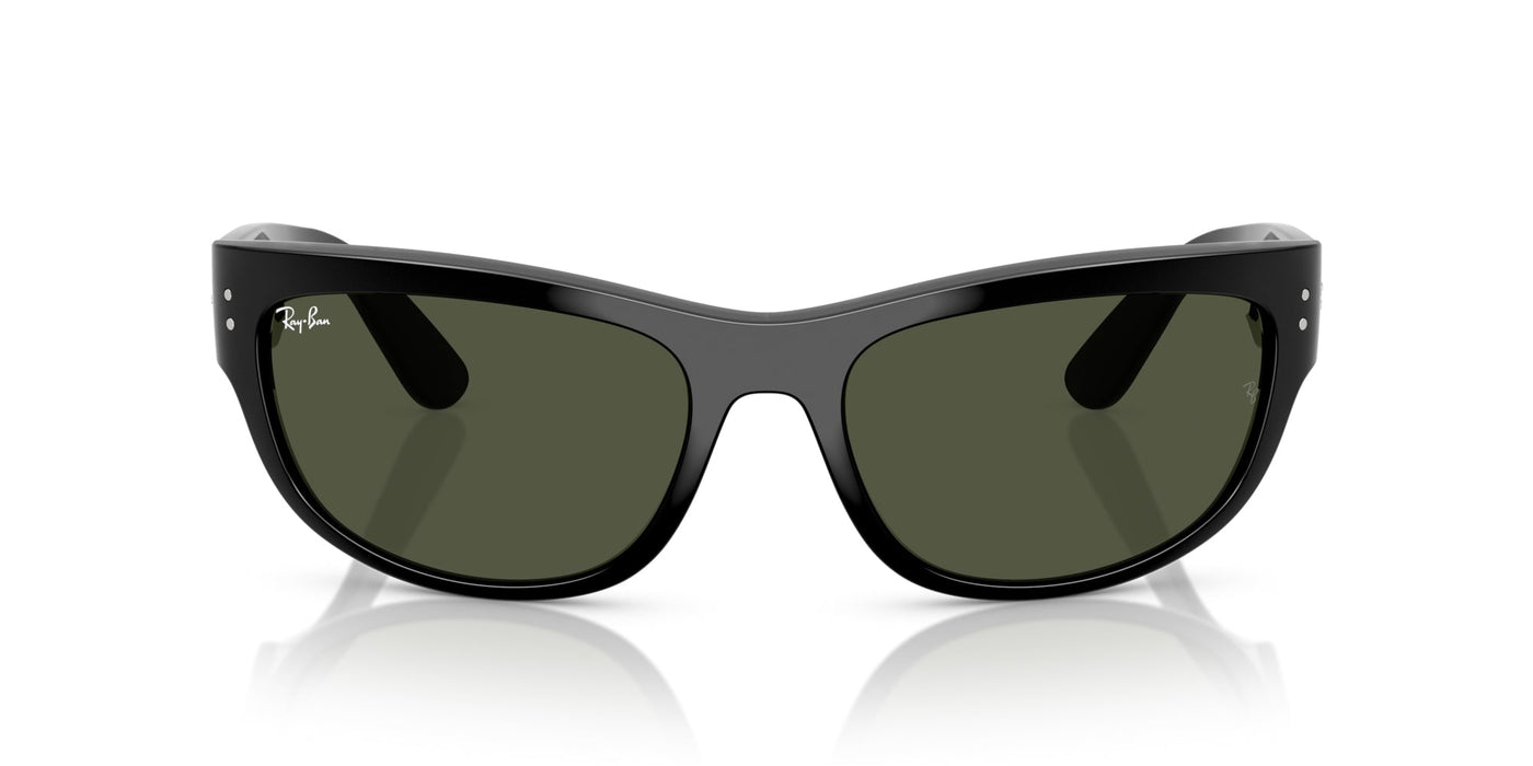 Ray-Ban Mega Balorama RB2289 Black/G-15 Green #colour_black-g-15-green