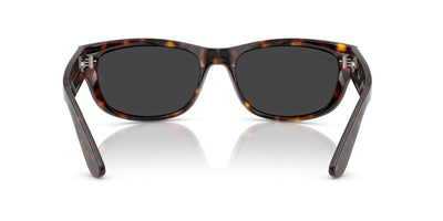 Ray-Ban Mega Balorama RB2289 Havana/Black Polarised #colour_havana-black-polarised