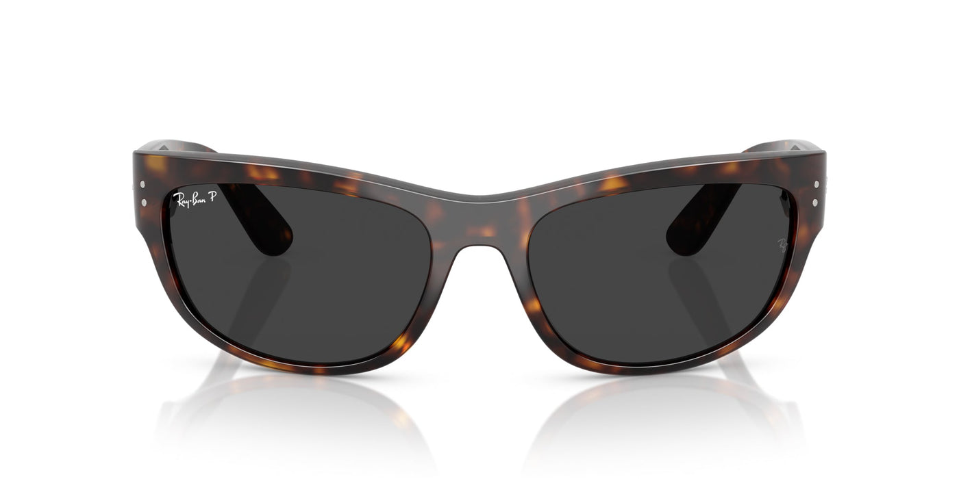 Ray-Ban Mega Balorama RB2289 Havana/Black Polarised #colour_havana-black-polarised