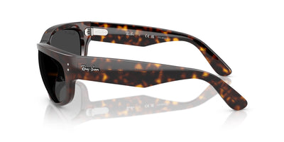 Ray-Ban Mega Balorama RB2289 Havana/Black Polarised #colour_havana-black-polarised