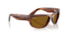 Ray-Ban Mega Balorama RB2289 Striped Havana/B-15 Brown #colour_striped-havana-b-15-brown