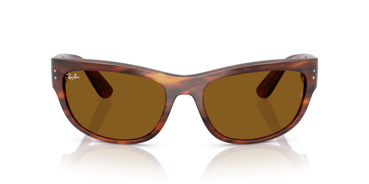 Ray-Ban Mega Balorama RB2289 Striped Havana/B-15 Brown #colour_striped-havana-b-15-brown