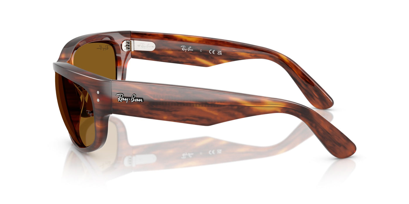 Ray-Ban Mega Balorama RB2289 Striped Havana/B-15 Brown #colour_striped-havana-b-15-brown