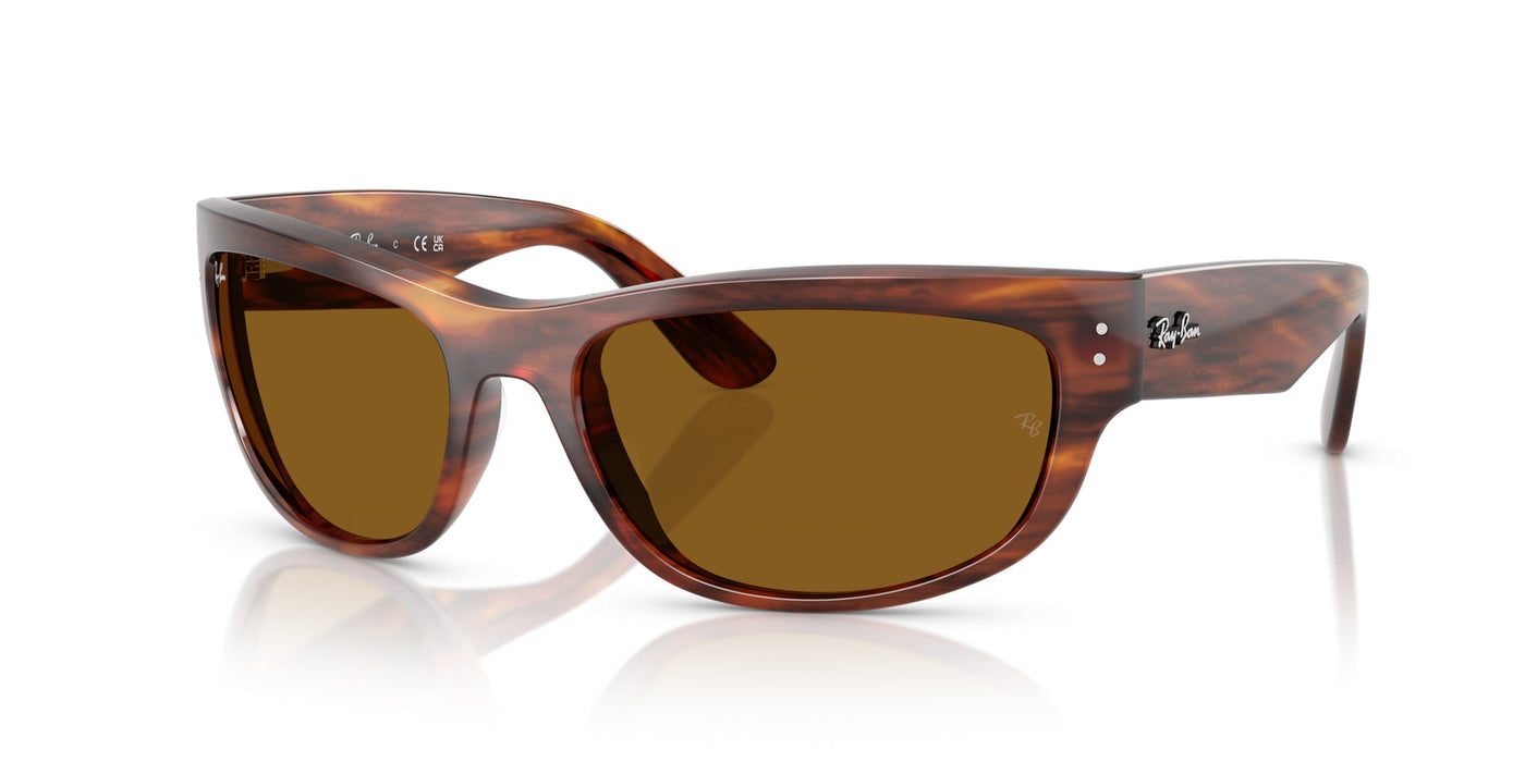 Ray-Ban Mega Balorama RB2289 Striped Havana/B-15 Brown #colour_striped-havana-b-15-brown